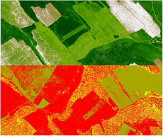 Инвентаризация земель как основа эффективного управления